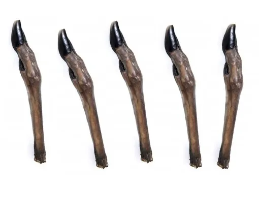 RD7602 Real Dog Snacks Stirnos kojos 5vnt. paveikslėlis